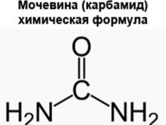 когда подкармливают огурцы мочевиной. Смотреть фото когда подкармливают огурцы мочевиной. Смотреть картинку когда подкармливают огурцы мочевиной. Картинка про когда подкармливают огурцы мочевиной. Фото когда подкармливают огурцы мочевиной