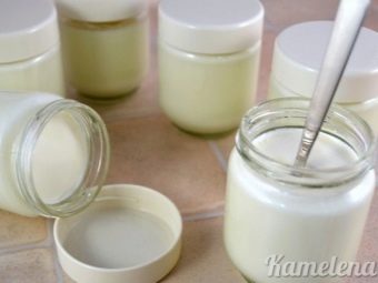 Как сделать йогурт из молока в домашних условиях без йогуртницы. Смотреть фото Как сделать йогурт из молока в домашних условиях без йогуртницы. Смотреть картинку Как сделать йогурт из молока в домашних условиях без йогуртницы. Картинка про Как сделать йогурт из молока в домашних условиях без йогуртницы. Фото Как сделать йогурт из молока в домашних условиях без йогуртницы