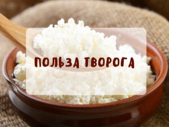 Как сделать творог новорожденному. Смотреть фото Как сделать творог новорожденному. Смотреть картинку Как сделать творог новорожденному. Картинка про Как сделать творог новорожденному. Фото Как сделать творог новорожденному