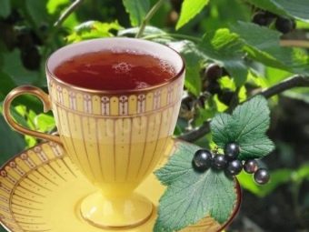 Нужно ли мыть листья смородины перед сушкой. kak sobrat i vysushit listya smorodiny dlya chaya 13. Нужно ли мыть листья смородины перед сушкой фото. Нужно ли мыть листья смородины перед сушкой-kak sobrat i vysushit listya smorodiny dlya chaya 13. картинка Нужно ли мыть листья смородины перед сушкой. картинка kak sobrat i vysushit listya smorodiny dlya chaya 13. Ягоды смородины любят и взрослые, и дети. Такое неприхотливое растение встречается почти на каждом садовом участке, а также в дикой природе. Целебными характеристиками известны не только спелые плоды, но и листья смородины. На протяжении многих десятков лет наши предки использовали их для приготовления целебных настоев и ароматного чая. Чтобы напиток из смородинного листа получился не только вкусным, но и по-настоящему полезным, необходимо четко знать все правила сбора, хранения и использования такого сырья. Обо всех этих нюансах поговорим подробно.