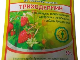 На листьях смородины появилась ржавчина. rzhavchina na smorodine prichiny zabolevaniya i mery borby 19. На листьях смородины появилась ржавчина фото. На листьях смородины появилась ржавчина-rzhavchina na smorodine prichiny zabolevaniya i mery borby 19. картинка На листьях смородины появилась ржавчина. картинка rzhavchina na smorodine prichiny zabolevaniya i mery borby 19. Ржавчина — широко распространенное заболевание, вызванное грибковой инфекцией. Смородину и крыжовник поражают два вида ржавчины – бокальчатая ржавчина и столбчатая ржавчина. Рассмотрим причины появления, симптоматику, факторы риска, а также меры профилактики и лечения.