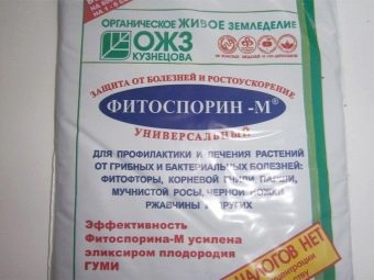 На листьях смородины появилась ржавчина. rzhavchina na smorodine prichiny zabolevaniya i mery borby 21. На листьях смородины появилась ржавчина фото. На листьях смородины появилась ржавчина-rzhavchina na smorodine prichiny zabolevaniya i mery borby 21. картинка На листьях смородины появилась ржавчина. картинка rzhavchina na smorodine prichiny zabolevaniya i mery borby 21. Ржавчина — широко распространенное заболевание, вызванное грибковой инфекцией. Смородину и крыжовник поражают два вида ржавчины – бокальчатая ржавчина и столбчатая ржавчина. Рассмотрим причины появления, симптоматику, факторы риска, а также меры профилактики и лечения.