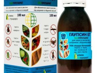 На листьях смородины появилась ржавчина. rzhavchina na smorodine prichiny zabolevaniya i mery borby 22. На листьях смородины появилась ржавчина фото. На листьях смородины появилась ржавчина-rzhavchina na smorodine prichiny zabolevaniya i mery borby 22. картинка На листьях смородины появилась ржавчина. картинка rzhavchina na smorodine prichiny zabolevaniya i mery borby 22. Ржавчина — широко распространенное заболевание, вызванное грибковой инфекцией. Смородину и крыжовник поражают два вида ржавчины – бокальчатая ржавчина и столбчатая ржавчина. Рассмотрим причины появления, симптоматику, факторы риска, а также меры профилактики и лечения.