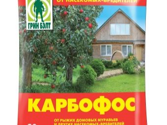 Чем можно обработать клубнику во время цветения от вредителей. chem obrabotat klubniku ot boleznej i vreditelej vo vremya cveteniya 6. Чем можно обработать клубнику во время цветения от вредителей фото. Чем можно обработать клубнику во время цветения от вредителей-chem obrabotat klubniku ot boleznej i vreditelej vo vremya cveteniya 6. картинка Чем можно обработать клубнику во время цветения от вредителей. картинка chem obrabotat klubniku ot boleznej i vreditelej vo vremya cveteniya 6. Клубника может поражаться вредителями не только во время цветения, но и когда появились ягоды. Правильно будет обработать посадки клубники до цветения, но и когда появляются ягоды, тоже есть выход. Клубника вкусная и полезная ягода, которую любят не только дети, но и взрослые.
