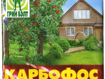 Что делать на листьях клубники паутина. kak borotsya s pautinnym kleshchom na klubnike 13. Что делать на листьях клубники паутина фото. Что делать на листьях клубники паутина-kak borotsya s pautinnym kleshchom na klubnike 13. картинка Что делать на листьях клубники паутина. картинка kak borotsya s pautinnym kleshchom na klubnike 13. Выращивание садовой земляники связано со многими тонкостями, требует знания особенностей посадки и ухода за этой вкусной ягодой. Но чтобы получать стабильно высокие урожаи, придётся принимать меры и в отношении многих вредителей этой культуры. Особенно опасно для неё появление паутинного клеща.