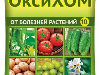 Как вылечить клубнику от белой пятнистости