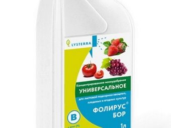 Почему ягоды клубники недоразвитые. pochemu yagody klubniki koryavye malenkie i chto s etim delat 8. Почему ягоды клубники недоразвитые фото. Почему ягоды клубники недоразвитые-pochemu yagody klubniki koryavye malenkie i chto s etim delat 8. картинка Почему ягоды клубники недоразвитые. картинка pochemu yagody klubniki koryavye malenkie i chto s etim delat 8. Каждому садоводу обидно после продуманной посадки клубники и качественного ухода обнаружить на участке мелкие и корявые ягоды. Чтобы исправить ситуацию и избежать такого урожая, стоит выяснить причины деформирования ягод.