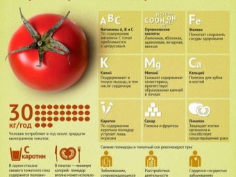 Можно ли есть помидоры если хочешь похудеть