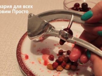 Как удалить косточку из вишни в домашних условиях без специального прибора. Смотреть фото Как удалить косточку из вишни в домашних условиях без специального прибора. Смотреть картинку Как удалить косточку из вишни в домашних условиях без специального прибора. Картинка про Как удалить косточку из вишни в домашних условиях без специального прибора. Фото Как удалить косточку из вишни в домашних условиях без специального прибора