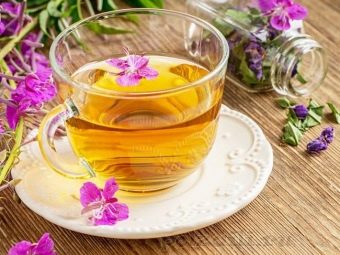 Как часто можно пить кипрейный чай