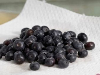 Морс из черники рецепты. recepty prigotovleniya morsa iz cherniki 3. Морс из черники рецепты фото. Морс из черники рецепты-recepty prigotovleniya morsa iz cherniki 3. картинка Морс из черники рецепты. картинка recepty prigotovleniya morsa iz cherniki 3. Самостоятельное приготовление домашних напитков на ягодной основе позволяет сохранить практически все полезные вещества исходного ингредиента. Черничный морс не только отлично утоляет жажду и восстанавливает силы, этот напиток наполняет организм полезными витаминами и микроэлементами.