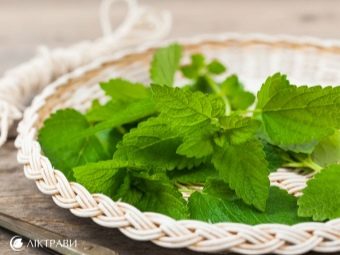 Рецепты морса из малины. recepty prigotovleniya morsa iz maliny 2. Рецепты морса из малины фото. Рецепты морса из малины-recepty prigotovleniya morsa iz maliny 2. картинка Рецепты морса из малины. картинка recepty prigotovleniya morsa iz maliny 2. Среди огромного количества ягод малина считается одной из наиболее полезных, особенно в период развития простудных заболеваний. Она помогает укрепить иммунитет, увеличивает сопротивляемость организма к разного рода вирусам. Теми же качествами обладает и морс, приготовленный из ягоды.