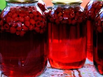 Компот из земляники рецепт. recepty prigotovleniya vkusnogo kompota iz zemlyaniki na zimu 12. Компот из земляники рецепт фото. Компот из земляники рецепт-recepty prigotovleniya vkusnogo kompota iz zemlyaniki na zimu 12. картинка Компот из земляники рецепт. картинка recepty prigotovleniya vkusnogo kompota iz zemlyaniki na zimu 12. Земляника – одна из самых вкусных и полезных ягод, которые можно собрать на лесных полянах или вырастить на своем участке. Она имеет ярко выраженный аромат и легкий сладко-кислый вкус. К сожалению, срок хранения свежей ягоды слишком короткий, уже через несколько дней она превращается в кашицу и теряет привлекательный вид.