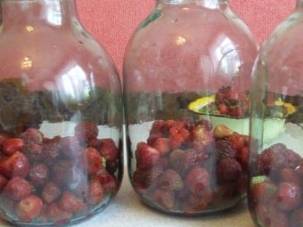 Как сделать морс из замороженных ягод. Смотреть фото Как сделать морс из замороженных ягод. Смотреть картинку Как сделать морс из замороженных ягод. Картинка про Как сделать морс из замороженных ягод. Фото Как сделать морс из замороженных ягод