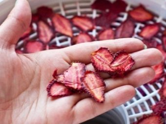 Рецепты из сушеной клубники. sushenaya klubnika recepty i pravila hraneniya 2. Рецепты из сушеной клубники фото. Рецепты из сушеной клубники-sushenaya klubnika recepty i pravila hraneniya 2. картинка Рецепты из сушеной клубники. картинка sushenaya klubnika recepty i pravila hraneniya 2. Разнообразие ягод так радует в летнюю пору, что хочется сохранить их аромат и вкус на длительное время. Кто-то варит их них варенье, замораживает ягоды, готовит пастилу или цукаты. Однако ягоды можно и высушить. Сделать это в домашних условиях очень легко.