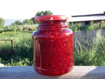 Костяника ягода рецепты приготовления. chto mozhno prigotovit iz kostyaniki 5. Костяника ягода рецепты приготовления фото. Костяника ягода рецепты приготовления-chto mozhno prigotovit iz kostyaniki 5. картинка Костяника ягода рецепты приготовления. картинка chto mozhno prigotovit iz kostyaniki 5. На сбор костя­ники ее цени­тели отправ­ля­ются в июле-авгу­сте. На юге костя­ника не рас­тет, ареал ее рас­про­стра­не­ния – Сибирь, Даль­ний восток, Каре­лия, лес­ные мас­сивы Костром­ской, Брян­ской, Мос­ков­ской обла­стей. Спе­лые ягоды костя­ники очень соч­ные, с кис­лин­кой, вку­сом похожи на гра­на­то­вые зерна.