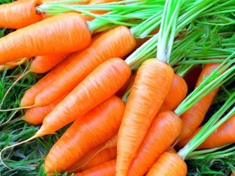 Печень говяжья как готовить чтобы была мягкой