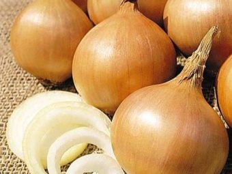 Печень говяжья как готовить чтобы была мягкой