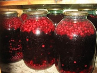 Компот из замороженной ирги. kak svarit vkusnyj kompot iz irgi i kakovy ego svojstva 10. Компот из замороженной ирги фото. Компот из замороженной ирги-kak svarit vkusnyj kompot iz irgi i kakovy ego svojstva 10. картинка Компот из замороженной ирги. картинка kak svarit vkusnyj kompot iz irgi i kakovy ego svojstva 10. Когда закатка «обязательных» продуктов питания окончена, приходит время заготовки всякой вкуснятины.