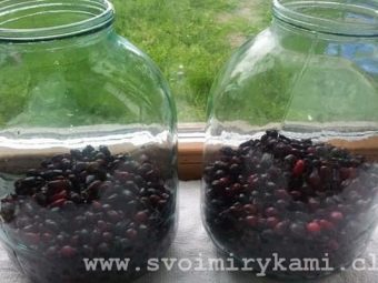 Компот из замороженной ирги. kak svarit vkusnyj kompot iz irgi i kakovy ego svojstva 3. Компот из замороженной ирги фото. Компот из замороженной ирги-kak svarit vkusnyj kompot iz irgi i kakovy ego svojstva 3. картинка Компот из замороженной ирги. картинка kak svarit vkusnyj kompot iz irgi i kakovy ego svojstva 3. Когда закатка «обязательных» продуктов питания окончена, приходит время заготовки всякой вкуснятины.