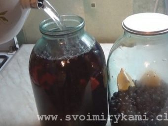 Компот из замороженной ирги. kak svarit vkusnyj kompot iz irgi i kakovy ego svojstva 6. Компот из замороженной ирги фото. Компот из замороженной ирги-kak svarit vkusnyj kompot iz irgi i kakovy ego svojstva 6. картинка Компот из замороженной ирги. картинка kak svarit vkusnyj kompot iz irgi i kakovy ego svojstva 6. Когда закатка «обязательных» продуктов питания окончена, приходит время заготовки всякой вкуснятины.