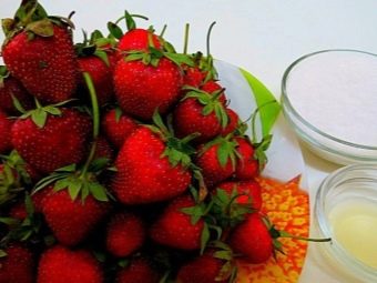 Компоты из свежих ягод. kompot iz yagod svojstva i pravila prigotovleniya 17. Компоты из свежих ягод фото. Компоты из свежих ягод-kompot iz yagod svojstva i pravila prigotovleniya 17. картинка Компоты из свежих ягод. картинка kompot iz yagod svojstva i pravila prigotovleniya 17. Каждый освежается в летнюю жару по-своему: кто квасом и лимонадом, а некоторые предпочитают холодненький компот из ягод. Это и правда вкусно, а еще очень полезно, если правильно сварить напиток, чтобы по максимуму сохранить все ценное. А если вы до сих пор не знаете как сварить кисель из вишен, тогда советуем ознакомится и с этим рецептом тоже.