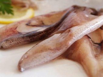 Можно ли есть копченого кальмара