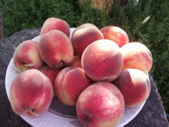 Кардинал вкусный персик из Америки