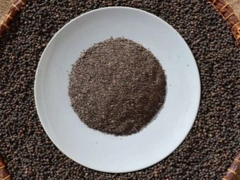 Поджарка из овощей рецепт. recepty prigotovleniya zharenyh ovoshchej 14. Поджарка из овощей рецепт фото. Поджарка из овощей рецепт-recepty prigotovleniya zharenyh ovoshchej 14. картинка Поджарка из овощей рецепт. картинка recepty prigotovleniya zharenyh ovoshchej 14. Жареные овощи на сковороде станут прекрасной добавкой к любому блюду. Их очень легко приготовить в домашних условиях, причём с этим справится даже начинающая хозяйка. Рассмотрим интересные рецепты горячих овощных поджарок, которые приятно будет есть и зимой и летом.
