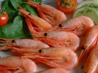 Содержание холестерина в мясе креветки