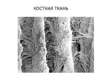 С чем можно кушать тунец