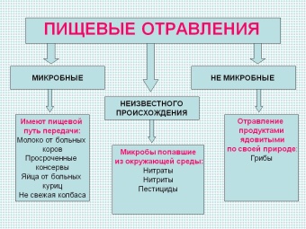 Можно ли есть фрукты во время отравления