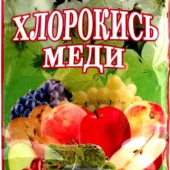 На листьях смородины появилась ржавчина. rzhavchina na smorodine prichiny zabolevaniya i mery borby 13. На листьях смородины появилась ржавчина фото. На листьях смородины появилась ржавчина-rzhavchina na smorodine prichiny zabolevaniya i mery borby 13. картинка На листьях смородины появилась ржавчина. картинка rzhavchina na smorodine prichiny zabolevaniya i mery borby 13. Ржавчина — широко распространенное заболевание, вызванное грибковой инфекцией. Смородину и крыжовник поражают два вида ржавчины – бокальчатая ржавчина и столбчатая ржавчина. Рассмотрим причины появления, симптоматику, факторы риска, а также меры профилактики и лечения.