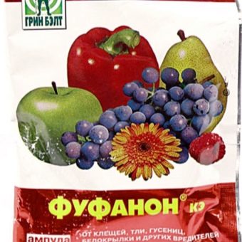 Почему скручиваются молодые листья у клубники что нужно делать. pochemu u klubniki skruchivayutsya listya i chto nuzhno delat 8. Почему скручиваются молодые листья у клубники что нужно делать фото. Почему скручиваются молодые листья у клубники что нужно делать-pochemu u klubniki skruchivayutsya listya i chto nuzhno delat 8. картинка Почему скручиваются молодые листья у клубники что нужно делать. картинка pochemu u klubniki skruchivayutsya listya i chto nuzhno delat 8. Одним из любимейших лакомств садоводов является клубника. Выращиванием этой ягоды занимаются многие люди, у которых есть дачный участок. Некоторые из них сталкиваются с тем, что у клубники скручиваются листья.