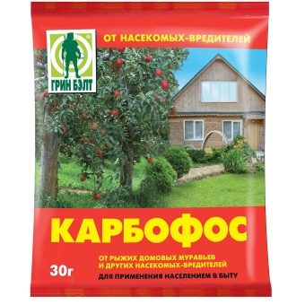 Почему скручиваются молодые листья у клубники что нужно делать. pochemu u klubniki skruchivayutsya listya i chto nuzhno delat 9. Почему скручиваются молодые листья у клубники что нужно делать фото. Почему скручиваются молодые листья у клубники что нужно делать-pochemu u klubniki skruchivayutsya listya i chto nuzhno delat 9. картинка Почему скручиваются молодые листья у клубники что нужно делать. картинка pochemu u klubniki skruchivayutsya listya i chto nuzhno delat 9. Одним из любимейших лакомств садоводов является клубника. Выращиванием этой ягоды занимаются многие люди, у которых есть дачный участок. Некоторые из них сталкиваются с тем, что у клубники скручиваются листья.