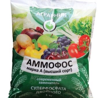 Состав грунта для выращивания клубники. pochva dlya klubniki sadovoj kakaya podojdet i kak podgotovit svoimi rukami 5. Состав грунта для выращивания клубники фото. Состав грунта для выращивания клубники-pochva dlya klubniki sadovoj kakaya podojdet i kak podgotovit svoimi rukami 5. картинка Состав грунта для выращивания клубники. картинка pochva dlya klubniki sadovoj kakaya podojdet i kak podgotovit svoimi rukami 5. Два самых важных условия для хорошего плодоношения клубники — это хороший посадочный материал и правильная подготовка почвы для посадки клубники. Нужно обратить внимание на лечение, которое не требует больших денег и впоследствии избавит от многих проблем. Лечение включает: