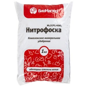 Состав грунта для выращивания клубники. pochva dlya klubniki sadovoj kakaya podojdet i kak podgotovit svoimi rukami 6. Состав грунта для выращивания клубники фото. Состав грунта для выращивания клубники-pochva dlya klubniki sadovoj kakaya podojdet i kak podgotovit svoimi rukami 6. картинка Состав грунта для выращивания клубники. картинка pochva dlya klubniki sadovoj kakaya podojdet i kak podgotovit svoimi rukami 6. Два самых важных условия для хорошего плодоношения клубники — это хороший посадочный материал и правильная подготовка почвы для посадки клубники. Нужно обратить внимание на лечение, которое не требует больших денег и впоследствии избавит от многих проблем. Лечение включает: