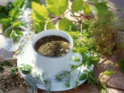 Чай с синеголовником, хмелем и мелиссой