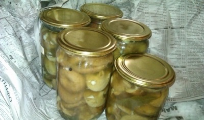 Волнушки соленые горячим способом