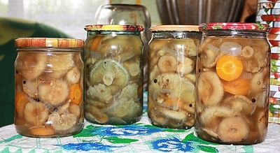 Маринованные волнушки