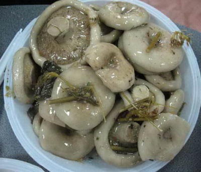 Соленые грузди