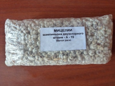Мицелий шампиньонов