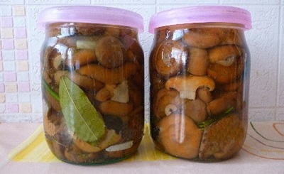 Горячая засолка рыжиков