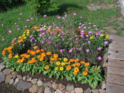 Календула в быту
