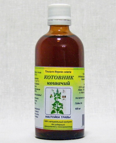 Настойка кошачьего котовника