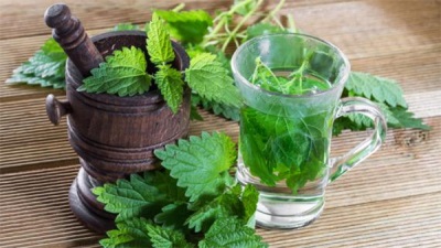 Крапивный чай для похудения