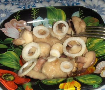 Соленые маслята