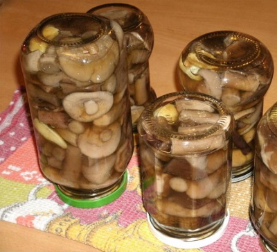 Маринованные маслята