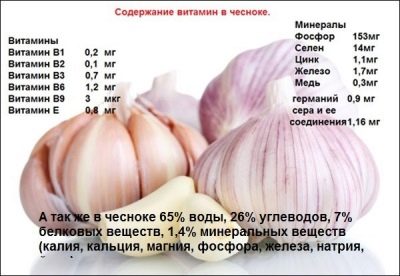 Чеснок ребенку 1 год
