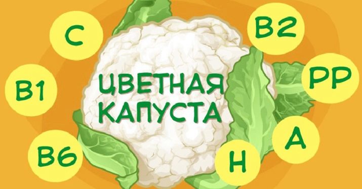 Цветная капуста на пару польза